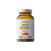 Cordyceps Sinensis ekstrakt Biowen 90 kaps