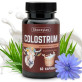 Colostrum De Chèvre Au Coing Skoczylas - 60 Gélules, Complément Alimentaire Neuf