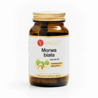 Morwa Biała Yango 60 kaps.