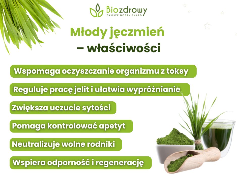 Młody jęczmień właściwości - infografika