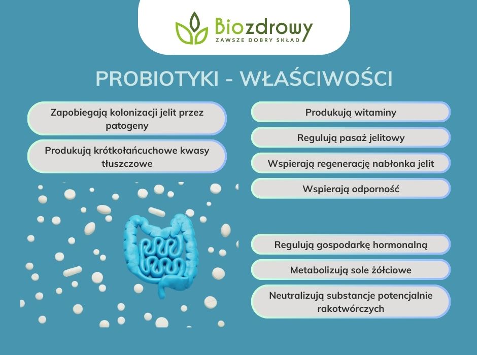 Probiotyki - właściwości - infografika