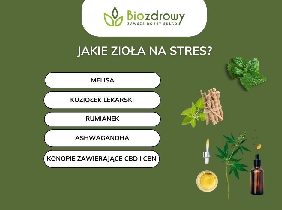 Jakie zioła na stres - infografika