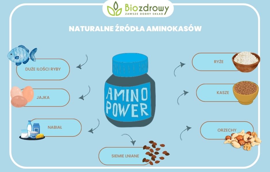 Naturalne źródła Aminokasów - infografika 