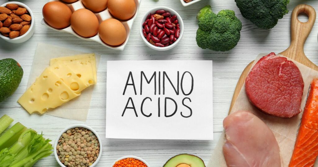 źródła aminokwasów - zdjęcie z namisem amino acids i produktami spożywczymi, które są źródłem aminokwasów 