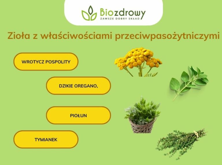 Pasożyty ludzkie objawy, leczenie i przyczyny. Blog Biozdrowy
