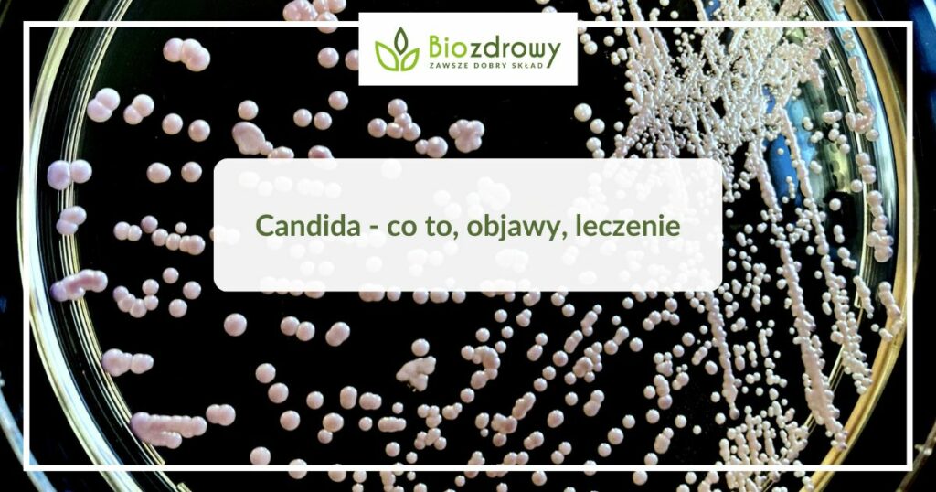 candida