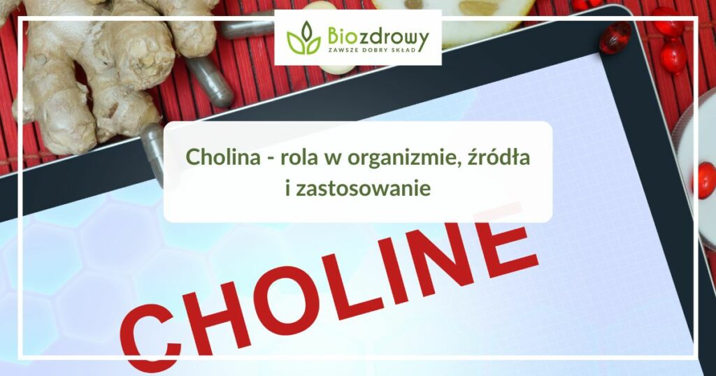 Cholina - rola w organizmie