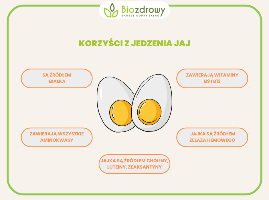 infografika korzyści z jedzenia jaj 