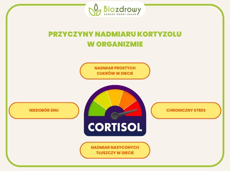 infografika przyczyny nadmiaru kortyzolu w organizmie