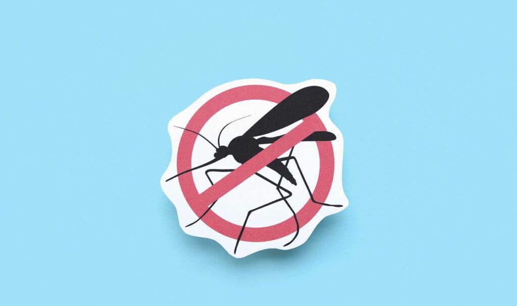 Co na ukąszenie komara?