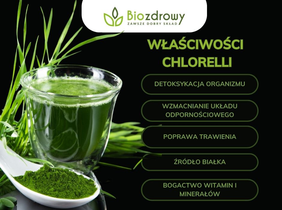 Właściwości chlorelli infografika