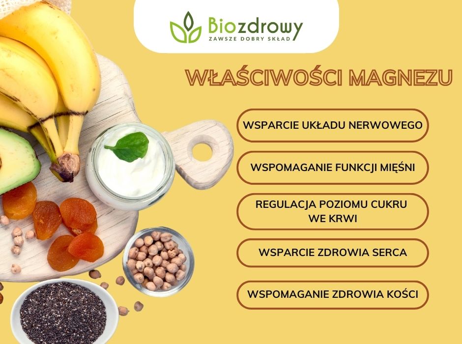 Właściwości magnezu - infografika