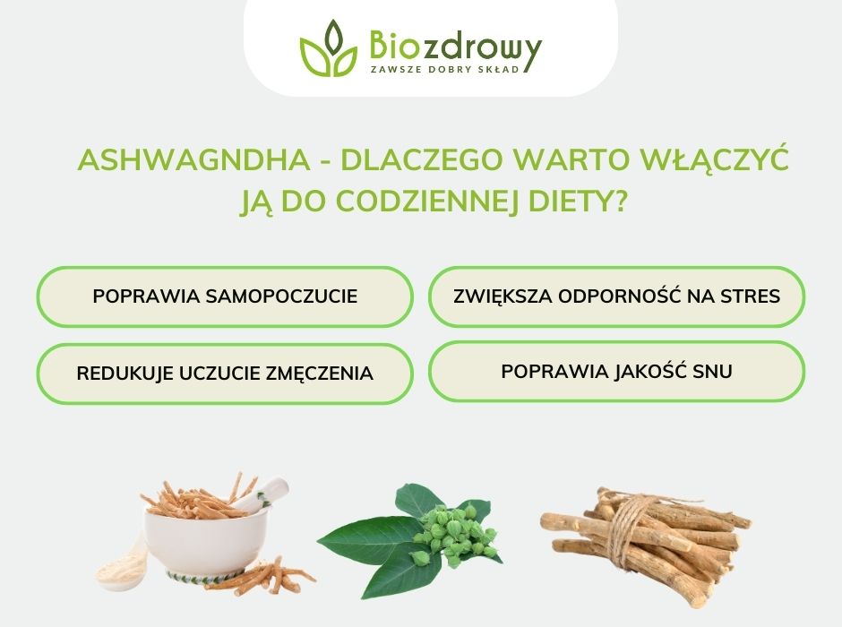 Asgwagandha - dlaczego warto włączyć ją do diety? - infografika