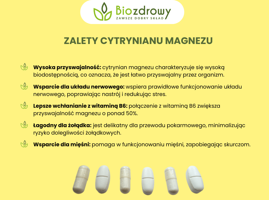 Cytrynian magnezu zalety - infografika