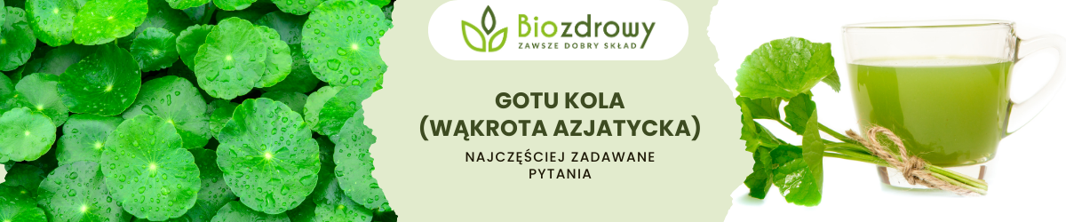 Gotu kola FAQ - zdjęcie poglądowe