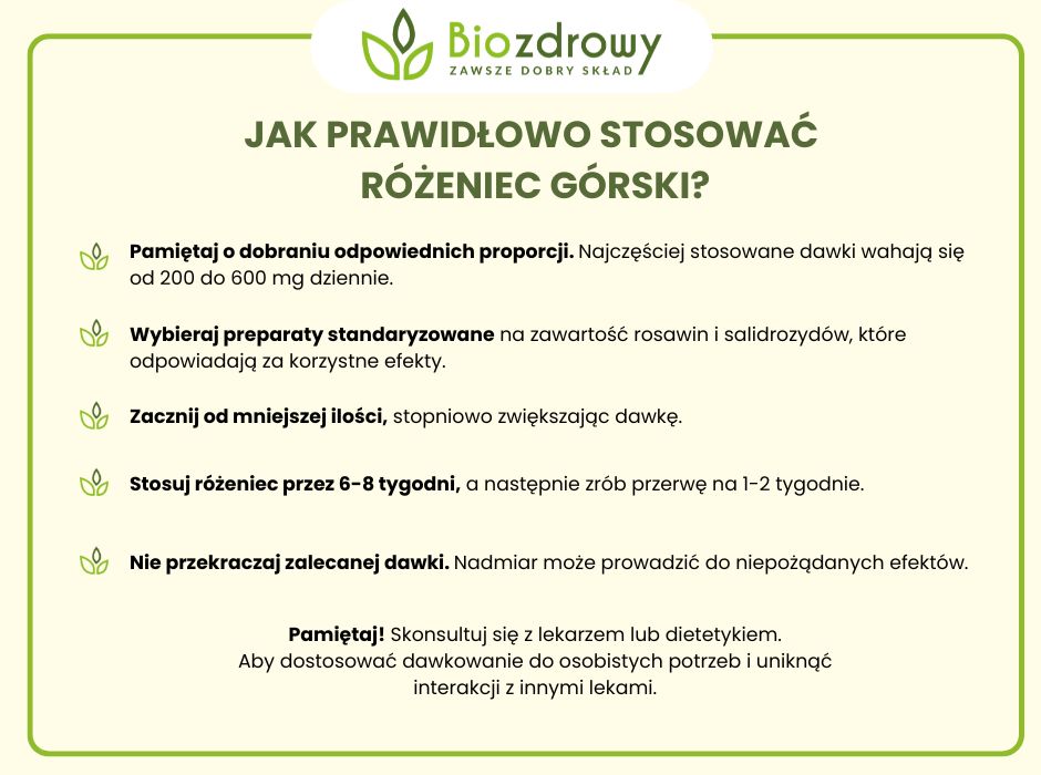 Jak prawidłowo stosować różeniec górski - infografika