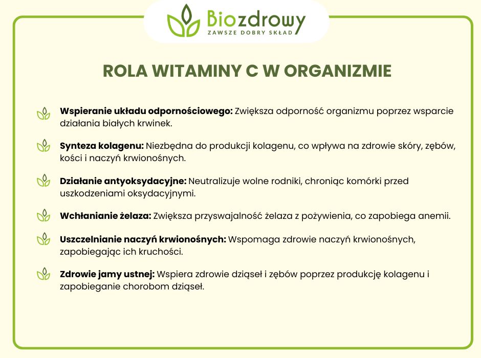 Rola witaminy C w organizmie - infografika