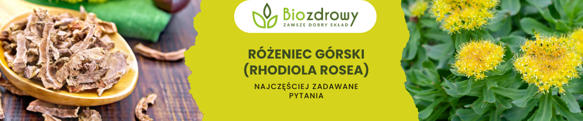 Różeniec górski FAQ - zdjęcie poglądowe