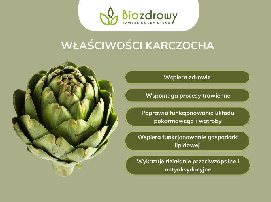 Właściwości karczocha - infografika