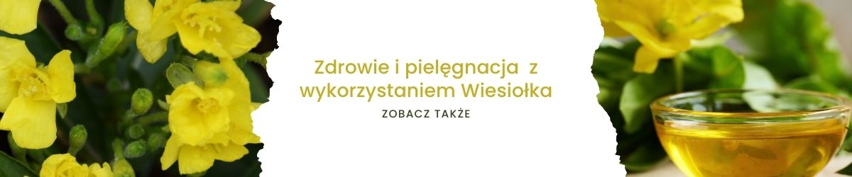 Zdrowie i pielęgnacja z wykorzystaniem Wiesiołka- obrazek zobacz także