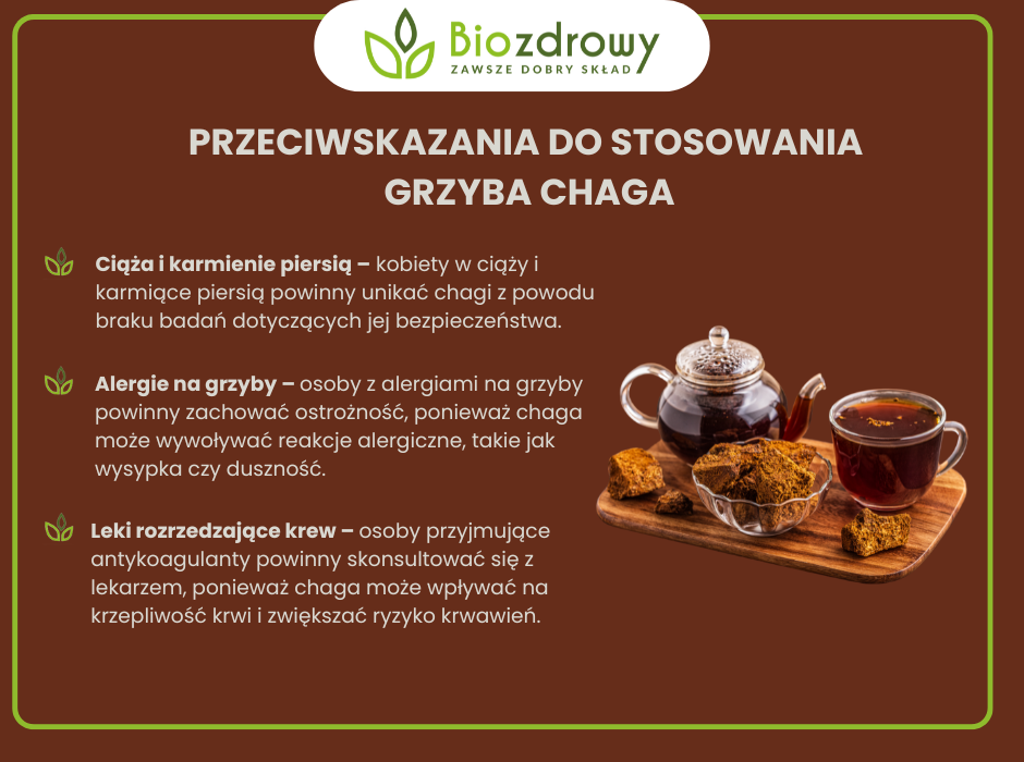 Grzyb chaga przeciwwskazania - zdjęcie poglądowe