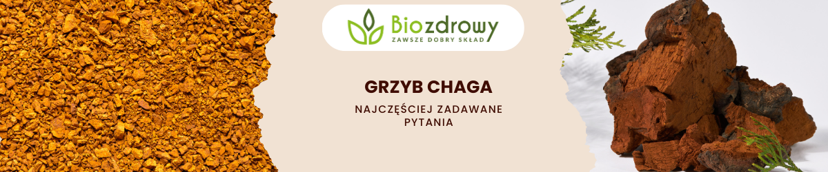 Grzyb chaga FAQ - zdjęcie poglądowe