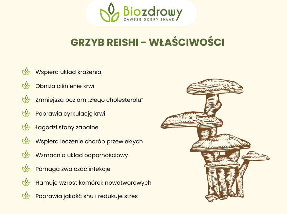 Grzyb reishi właściwości - infografika