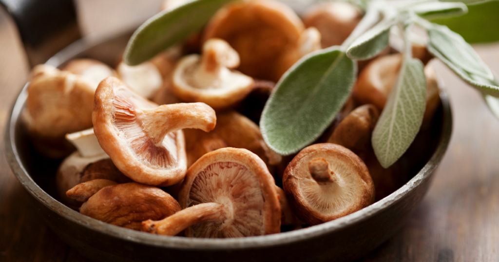 Grzyb shiitake (twardnik japoński) naturalne wsparcie dla zdrowia - obrazek wyróżniający