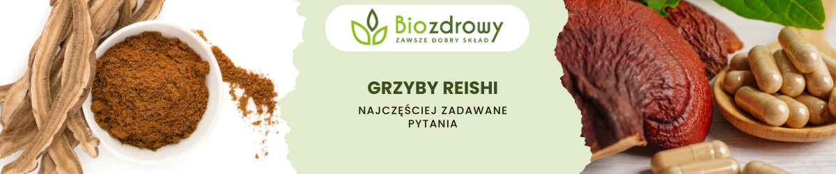 Grzyby reishi FAQ - zdjęcie poglądowe