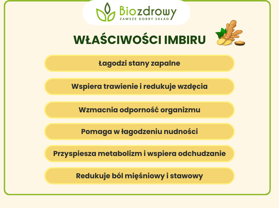 Imbir właściwości - infografika