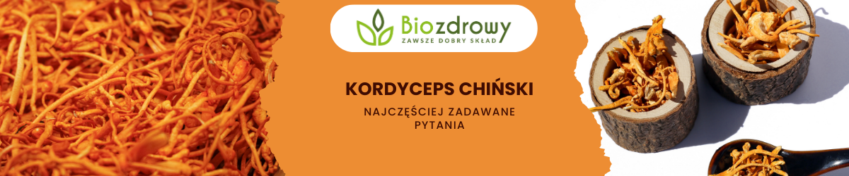 Kordyceps chiński FAQ - zdjęcie poglądowe