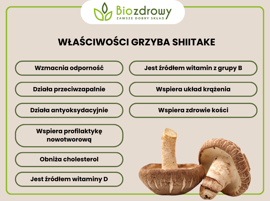 Właściwości grzyba shiitake - infografika