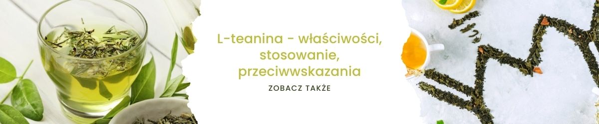 L-teanina - właściwości, stosowanie, przeciwwskazania - obrazek zobacz także 