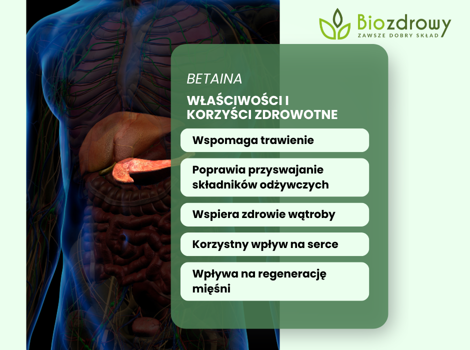 Betaina właściwości - infografika