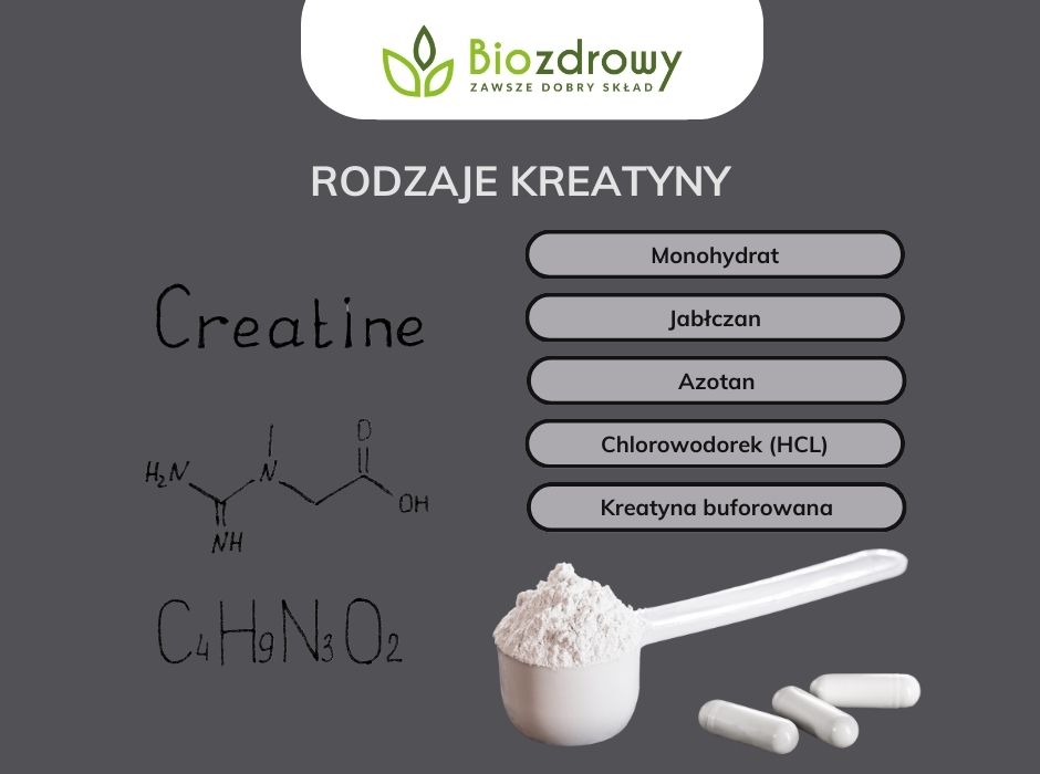 rodzaje kreatyny - infografika