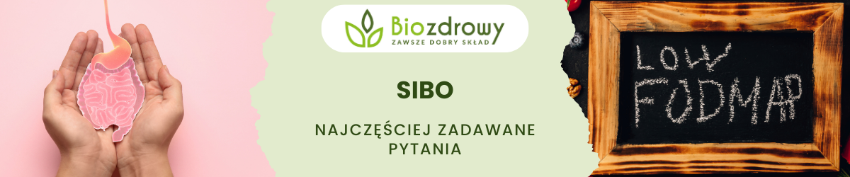 SIBO FAQ - obrazek poglądowy