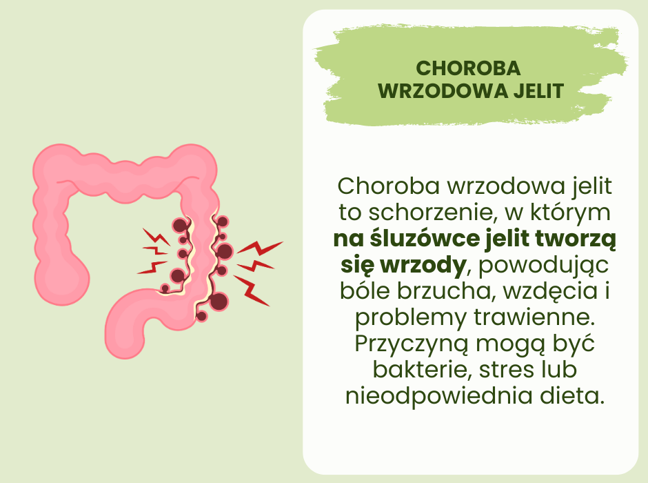 Choroba wrzodowa jelit - infografika