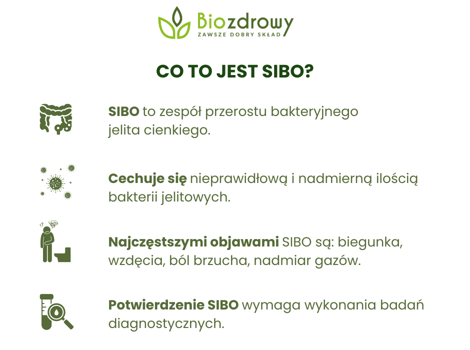 Co to jest SIBO - infografika