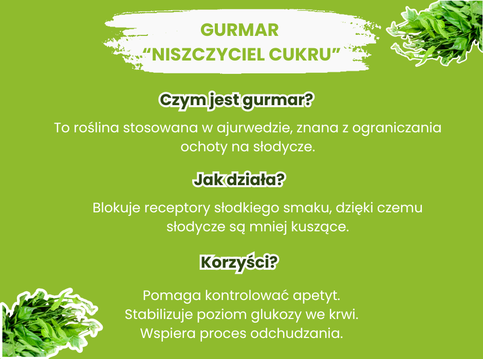 Czym jest gurmar? - infografika