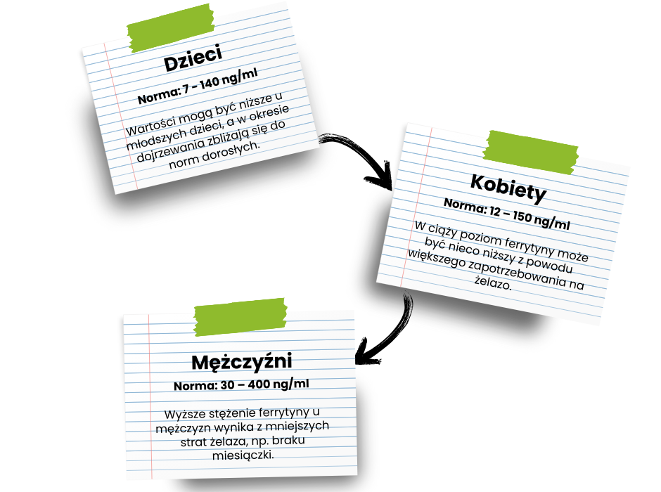 Ferrytyna norma - infografika