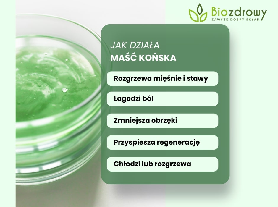 Jak działa maść końska - infografika