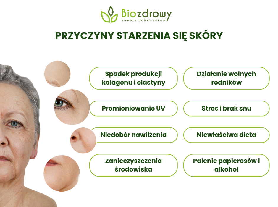 Przyczyny starzenia się skóry - infografika