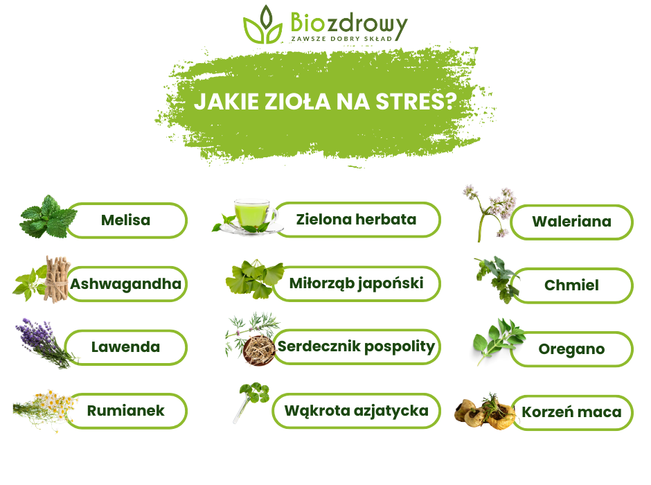 Zioła na stres - infografika