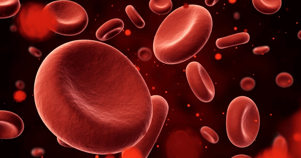 Czerwone krwinki w krwiobiegu – wizualizacja wpływu poziomu żelaza na hemoglobinę.