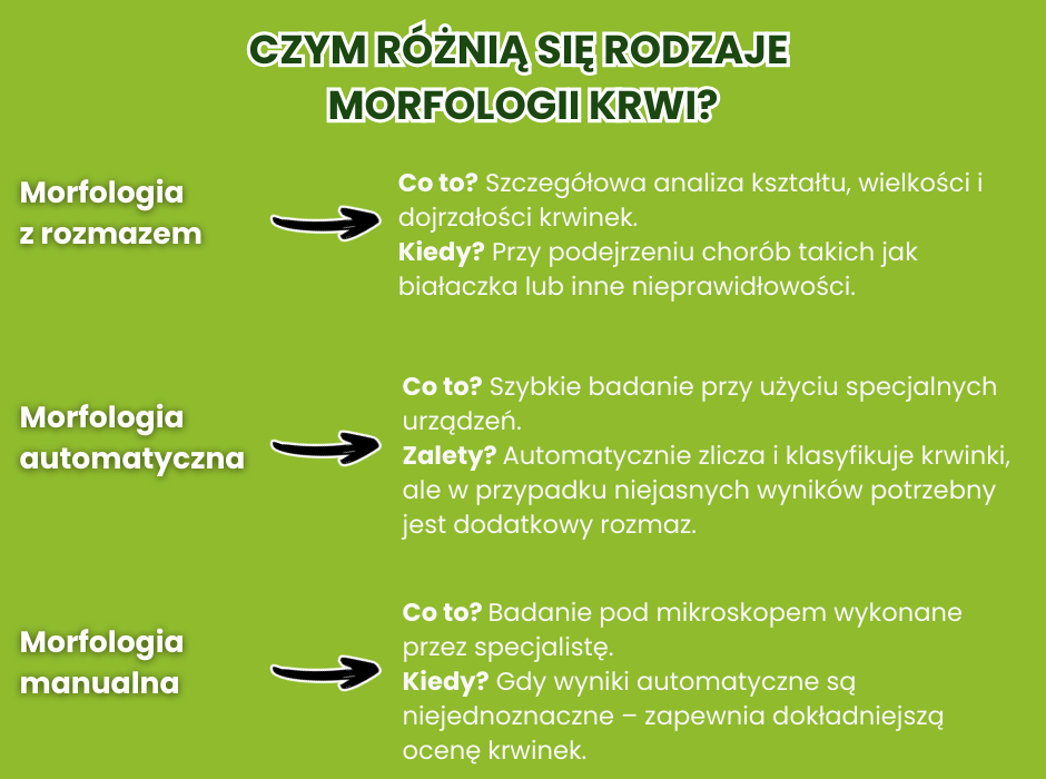 Czym różnią się rodzaje morfologii krwi? - infografika