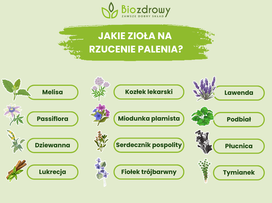 Jakie zioła na rzucenie palenia - infografika