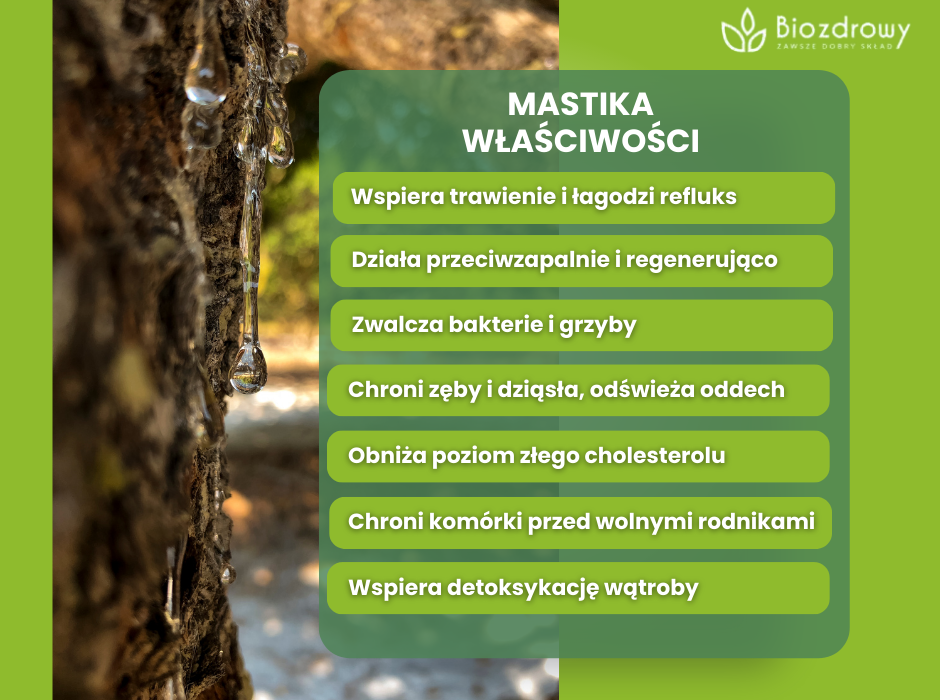 Mastika właściwości - infografika