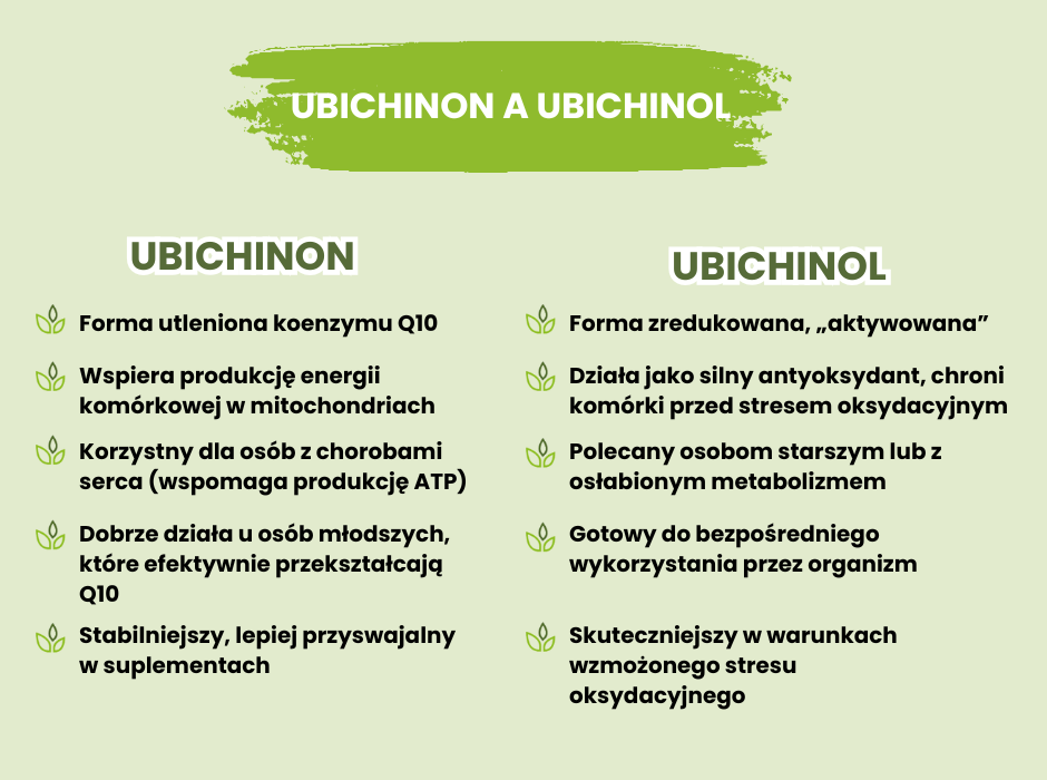 Ubichinon a ubichinol - infografika