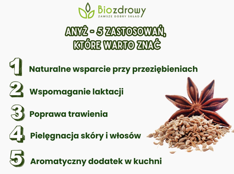 Anyż - zastosowanie - infografika