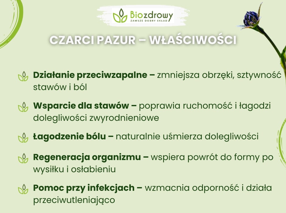Czarci pazur - właściwości - infografika